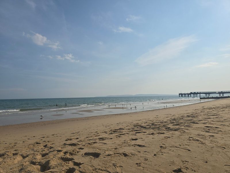 Boscombe beach at low tide, looking west along the sand towards Boscombe Pier, with people paddling in the shallows and gulls along the tideline